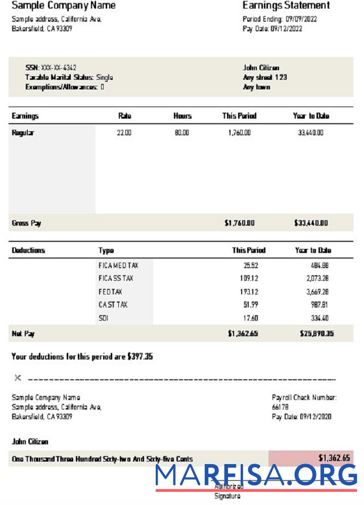 Printable USA California earnings statement sample